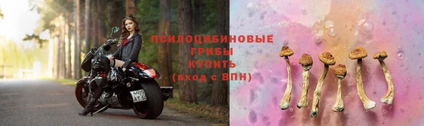 эйфоретик Армянск