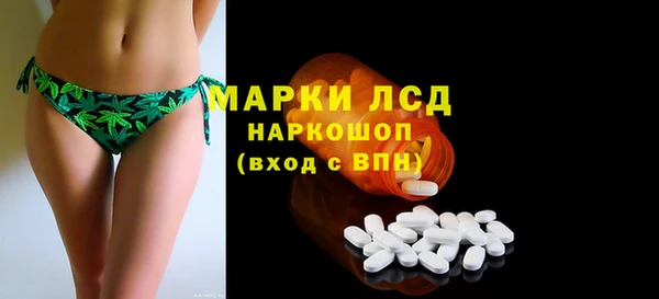 стаф Арсеньев