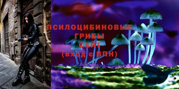 эйфоретик Армянск