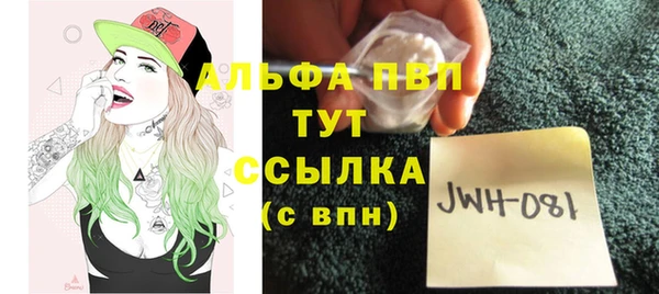 стаф Арсеньев