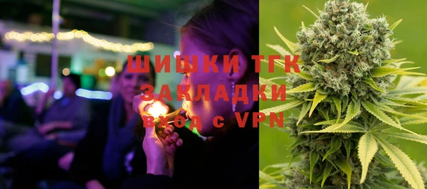 стаф Арсеньев