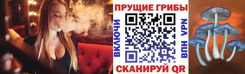 Псилоцибиновые грибы MAGIC MUSHROOMS  закладка  Новый Оскол 